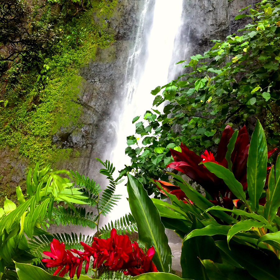 Chute d'eau Moorea Chute d'eau Moorea