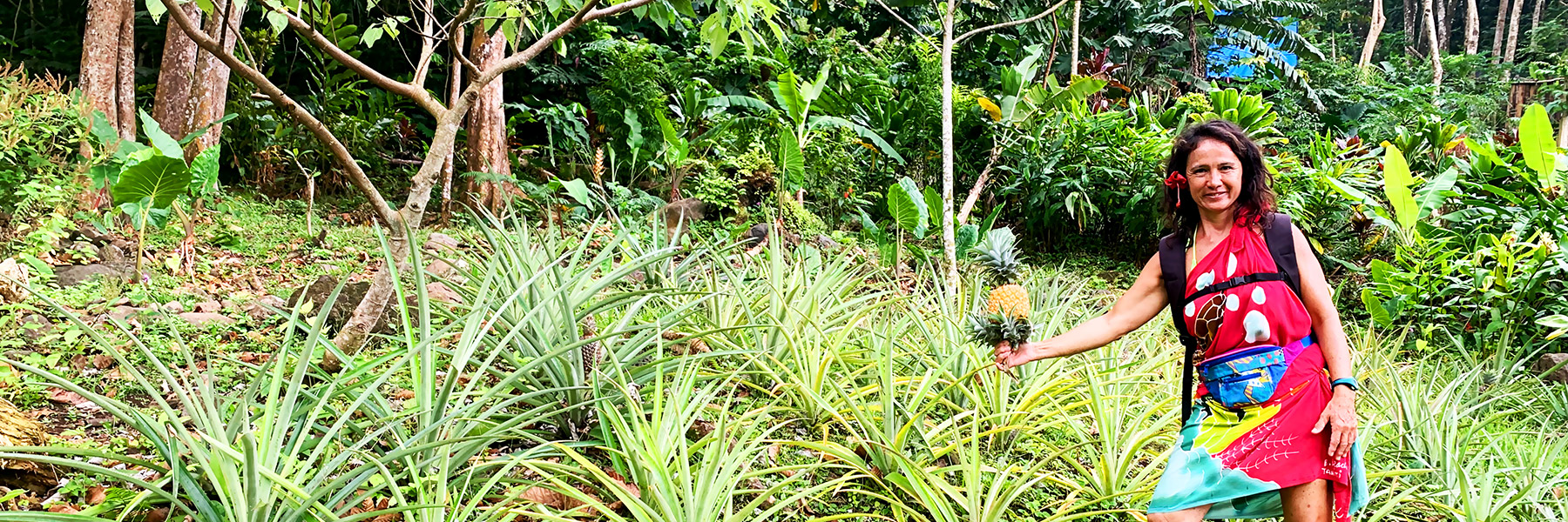 Guide de randonnée à Moorea Guide de randonnée à Moorea
