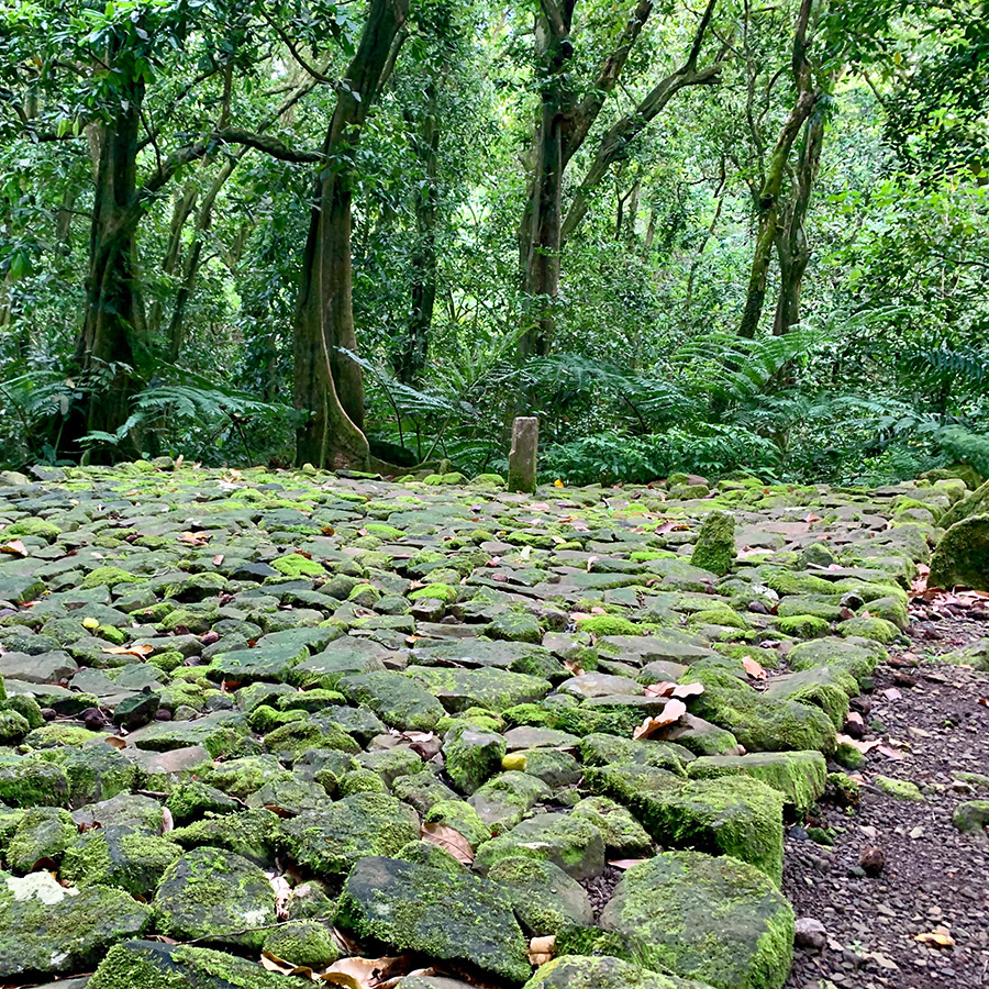 Moorea site archéologique Moorea site archéologique