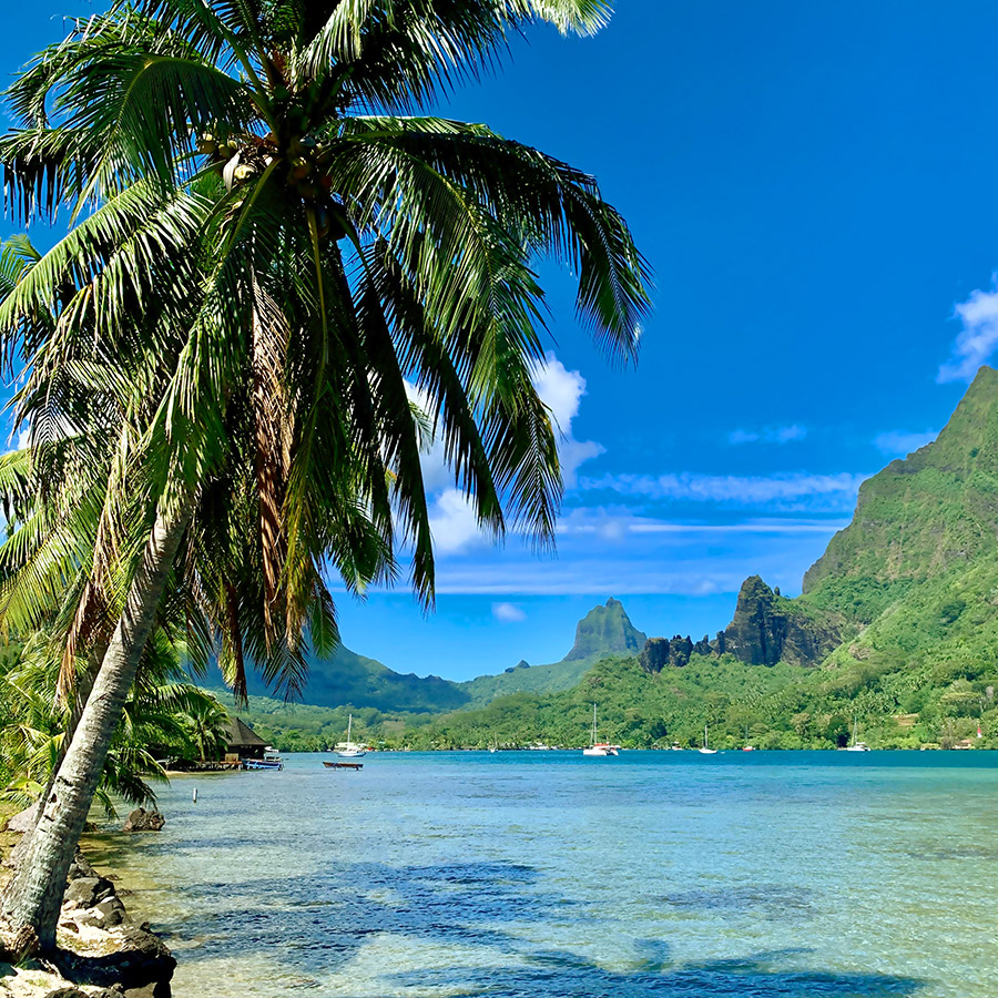 Moorea Baie de Cook Moorea Baie de Cook