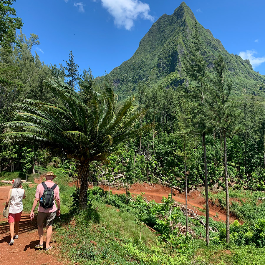 Moorea Lycée agricole Moorea Lycée agricole
