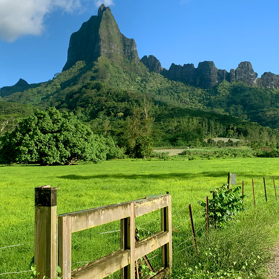 Moorea MouaRoa Moorea MouaRoa