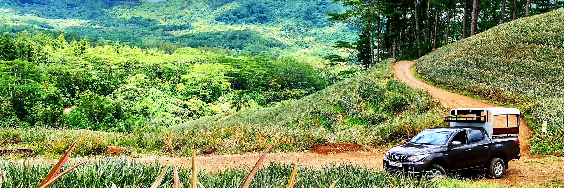Tour privé Moorea