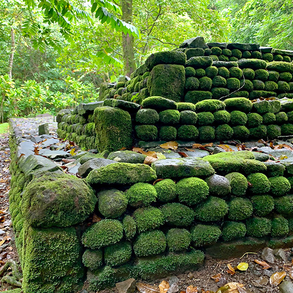Nature & Culture Nature & Culture