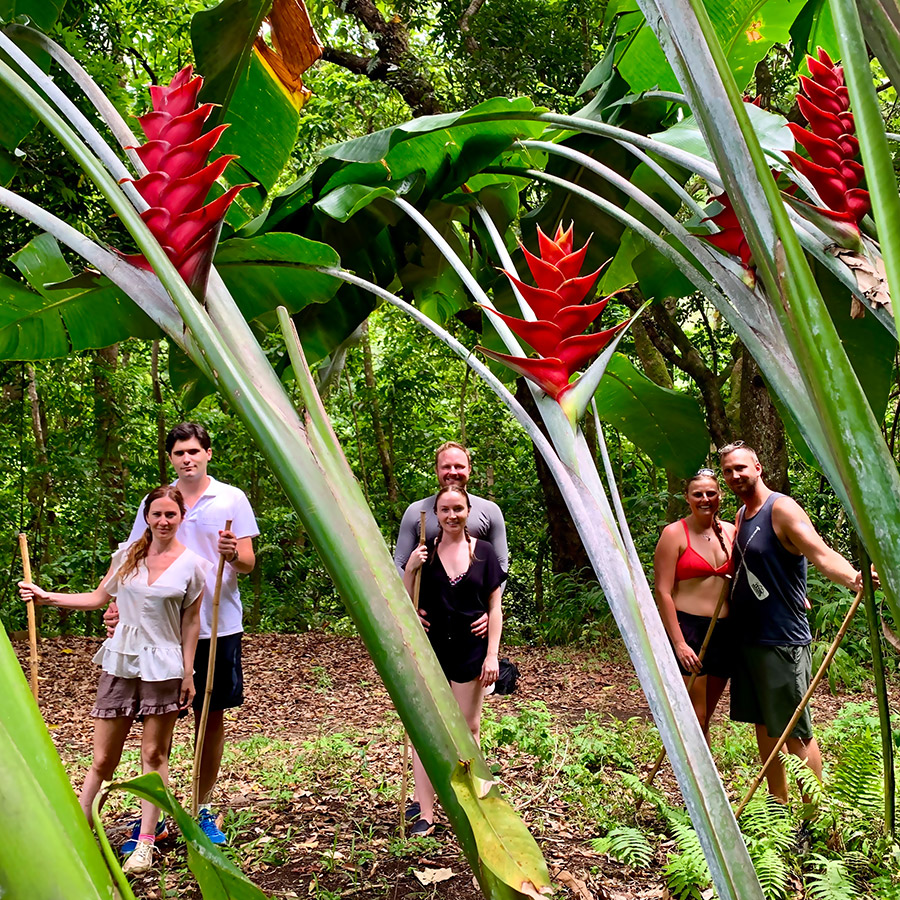 Moorea foret tropicale Moorea foret tropicale