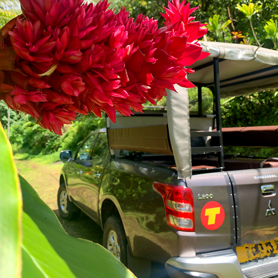 Moorea Excursion 4x4 Moorea Excursion 4x4