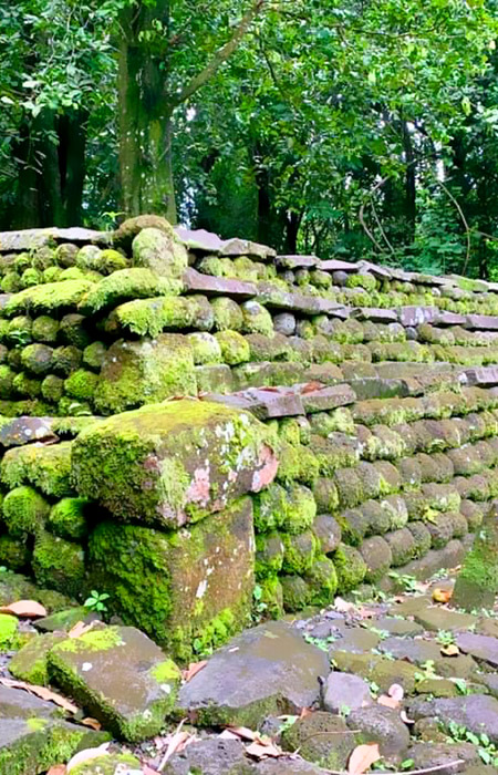 Nature & Culture